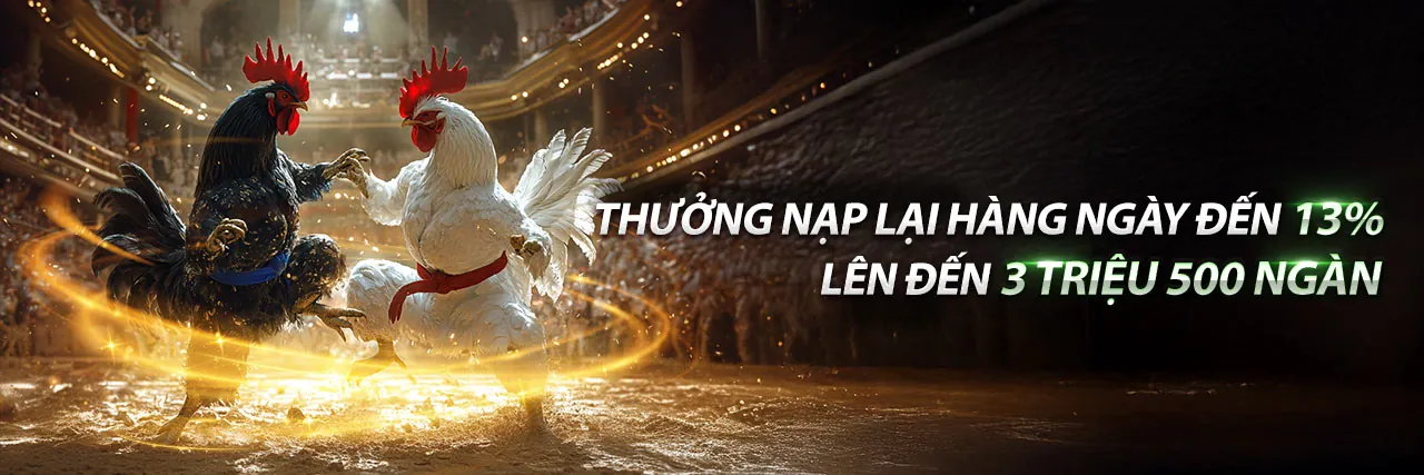 Đá gà trực tuyến kịch tính tại FI88 link mới